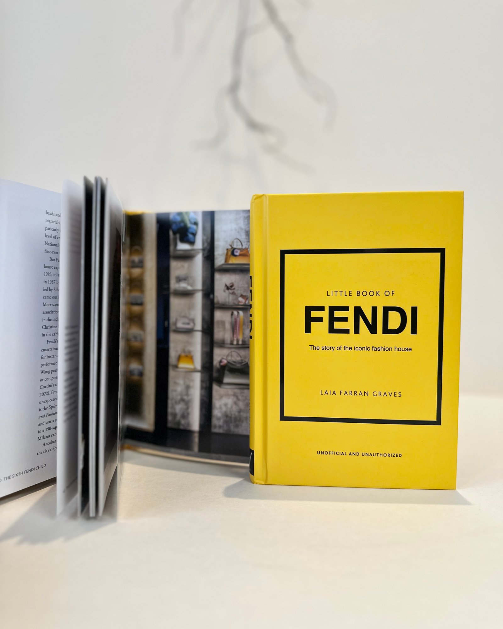 كتاب FENDI