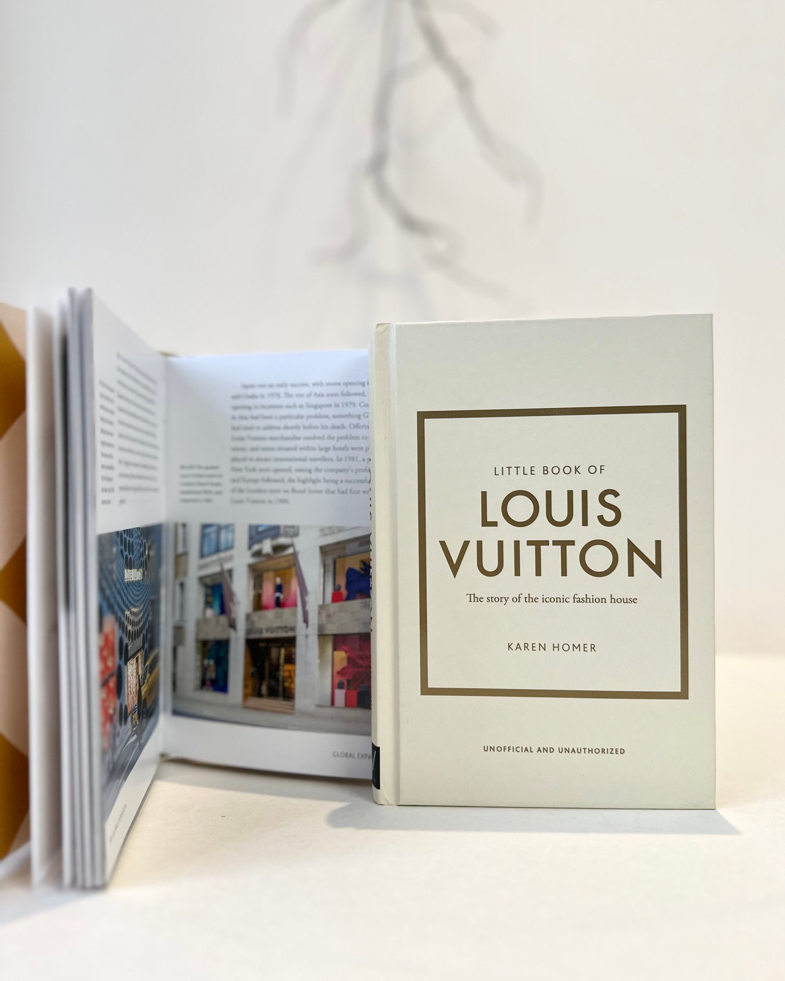 كتاب LOUIS VUITTON s